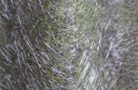 Ballingham fibreglass roof work